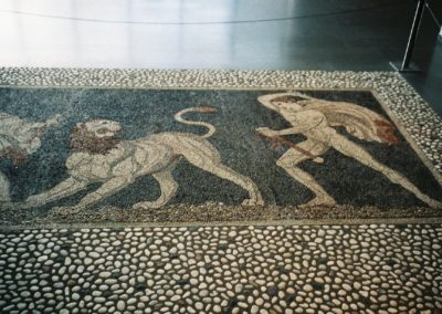 lion-and-fighter-mosaic