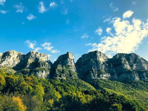 Glorious Epirus: despots and pashas in northern Greece (2)